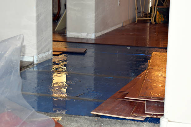 Professional Burst Pipe Cleanup technician working in Lincoln, WA