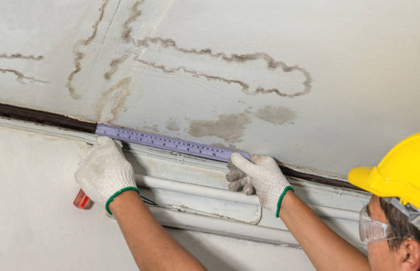 Reliable Burst Pipe Cleanup contractor in Lincoln, WA by Water Damage Irwin